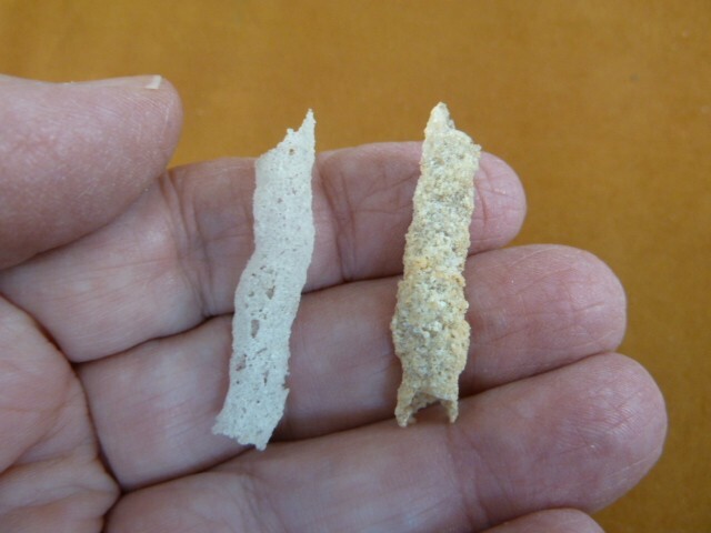 (r364-23) 2 Fulgurites 1-5/8″ lightning strike beach sand glass Georgia set