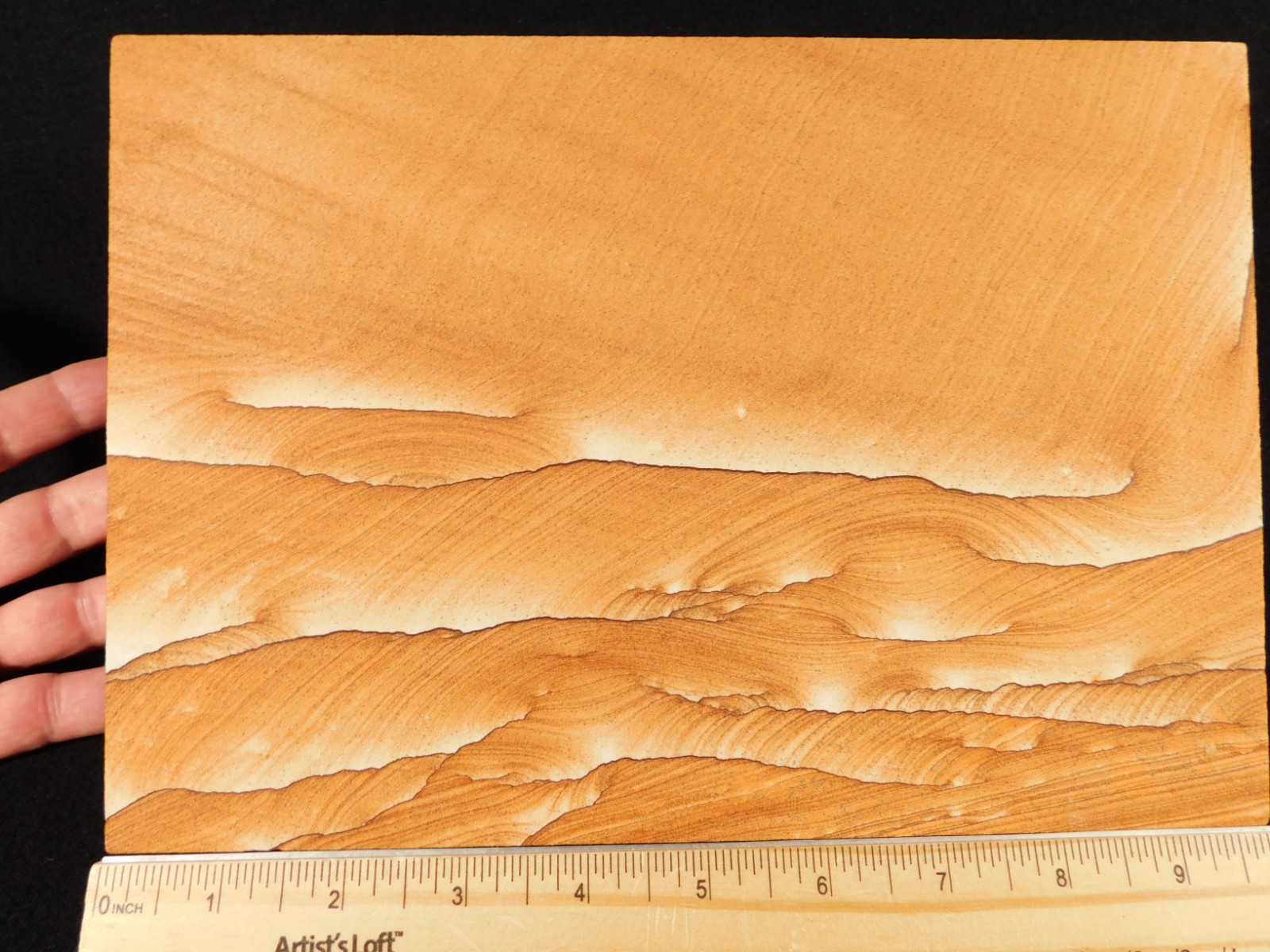 wOw! BIG PICTURE Stone or SANDSTONE Slice/Slab with Display Stand Utah 1041gr