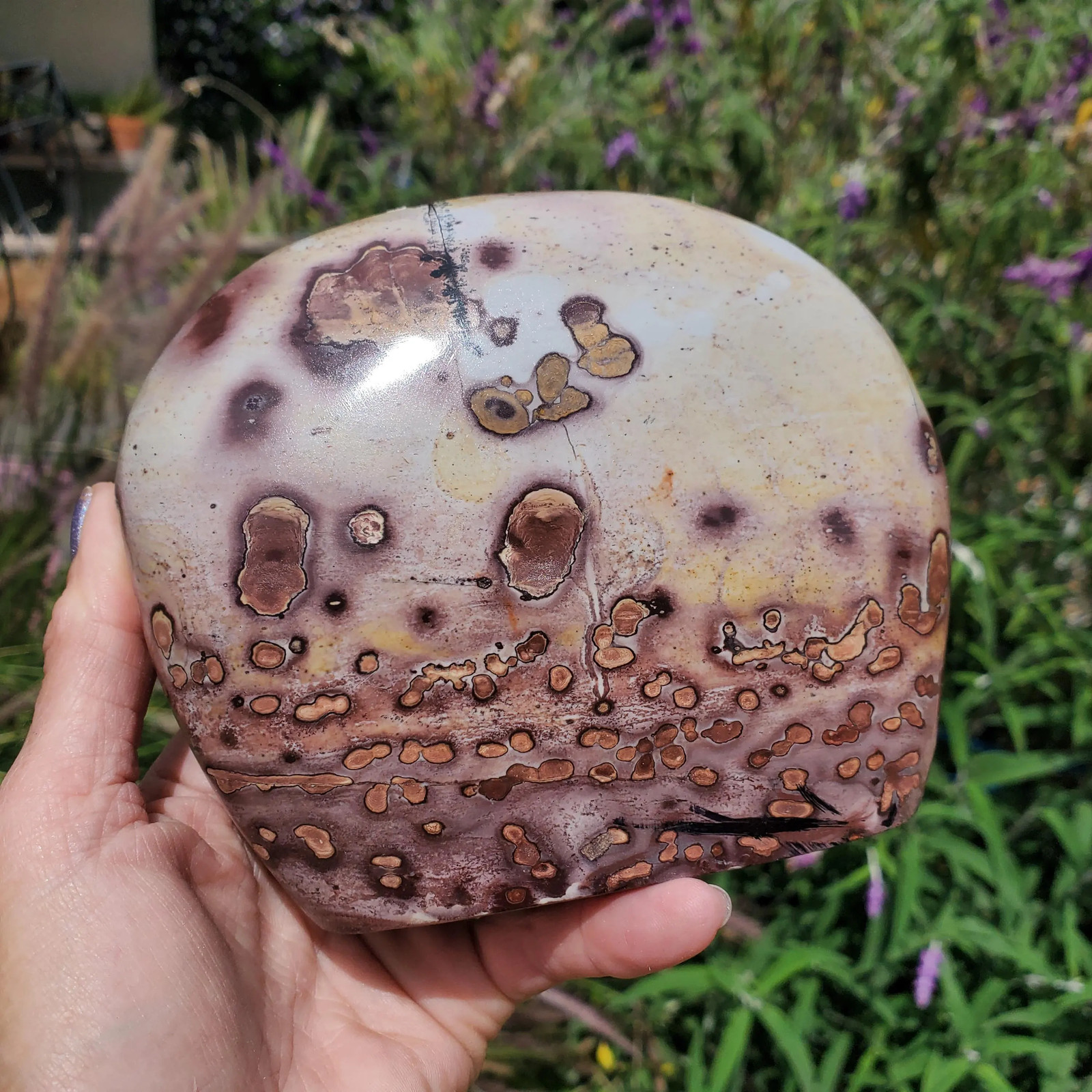 Picture Stone Jasper Dendritic Dendrite Display Freeform | 3lbs 1oz | 1330 Gram