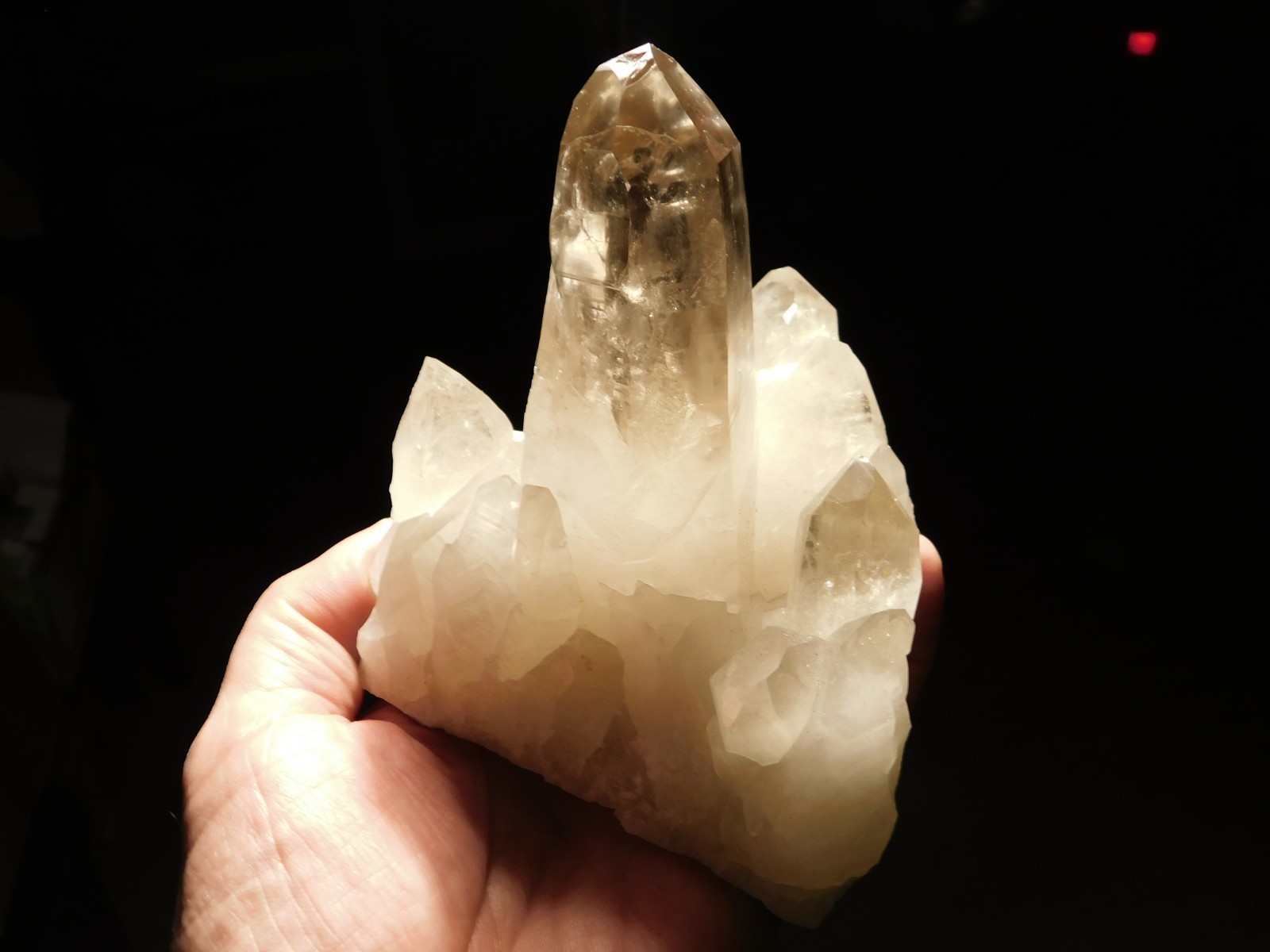 BIG! Free Standing! SMOKY Quartz Crystal Cluster From Brazil 792gr