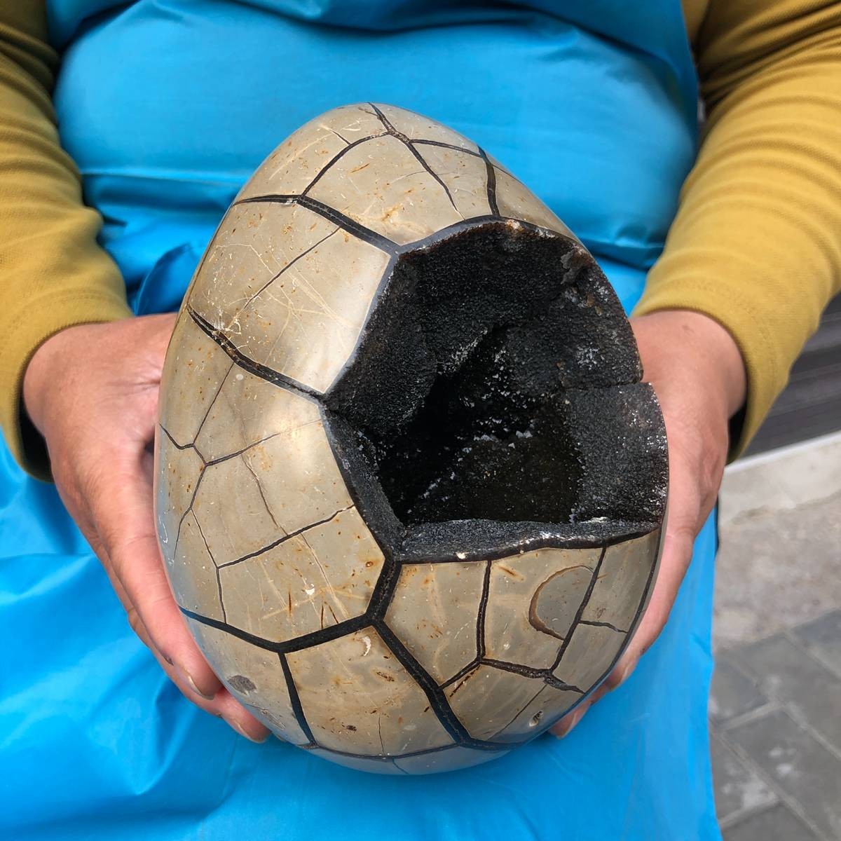 7.23LB Natural Septarian Dragon Egg Geode with Lid Reiki Energy Healing Crystal