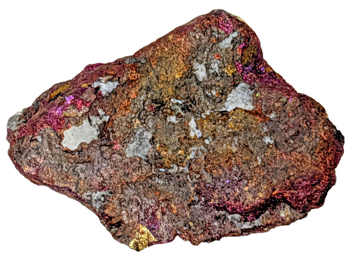 Bornite Peacock Ore Iridescent Tarnish Mexico Copper Sulfide Specimen BEAUTIFUL