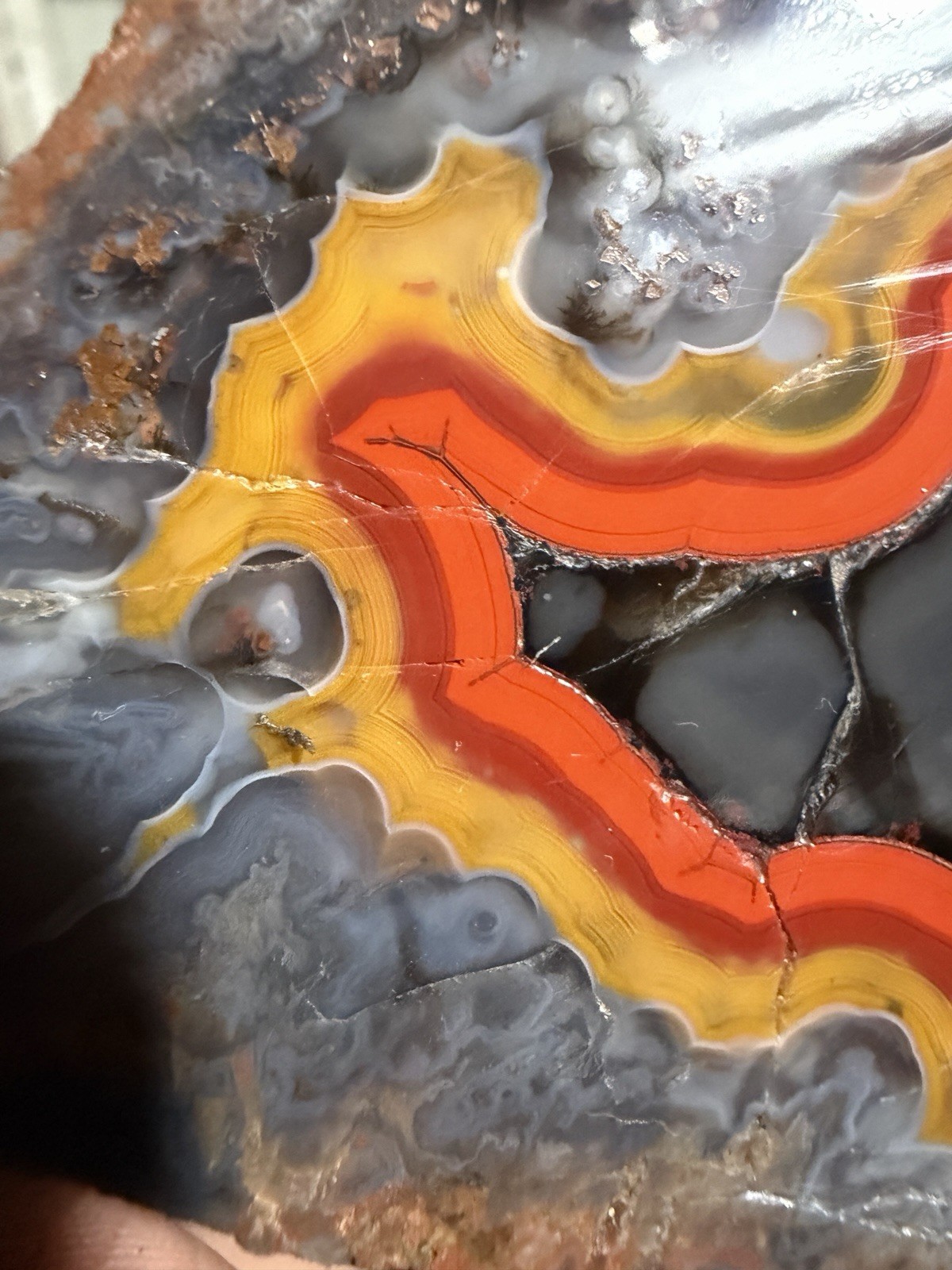Top Shelf, Imperial Kentucky Agate | Best Red Yellow Black Specimen Online Estil