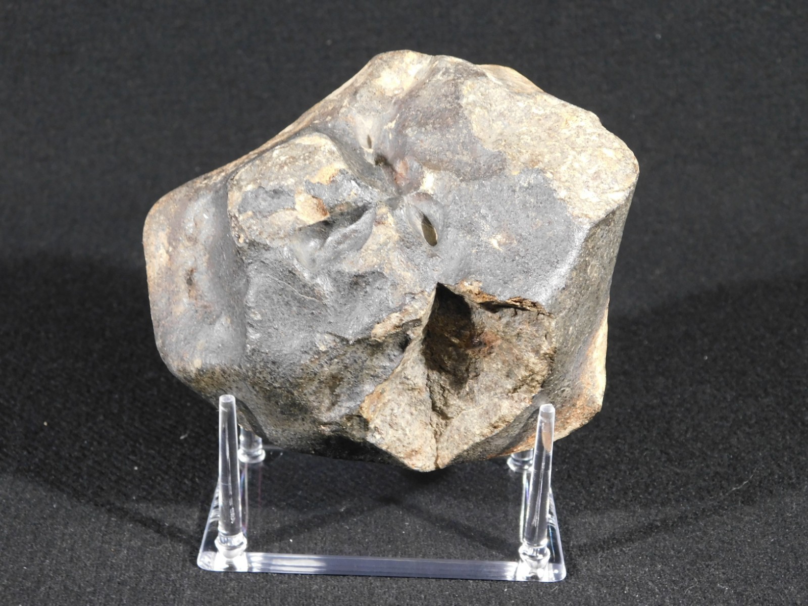 Big! N.W.A 869 Stony METEORITE with Dark Fusion Crust and DEEP REGMAGLYPTS 880gr