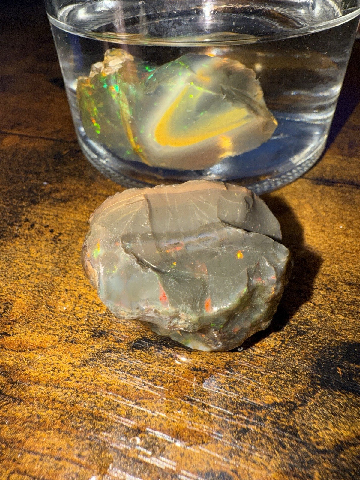 Specimen Rough Opal Stones in Jar – Ethiopian Rough, Multiple Mixed-Color Pieces