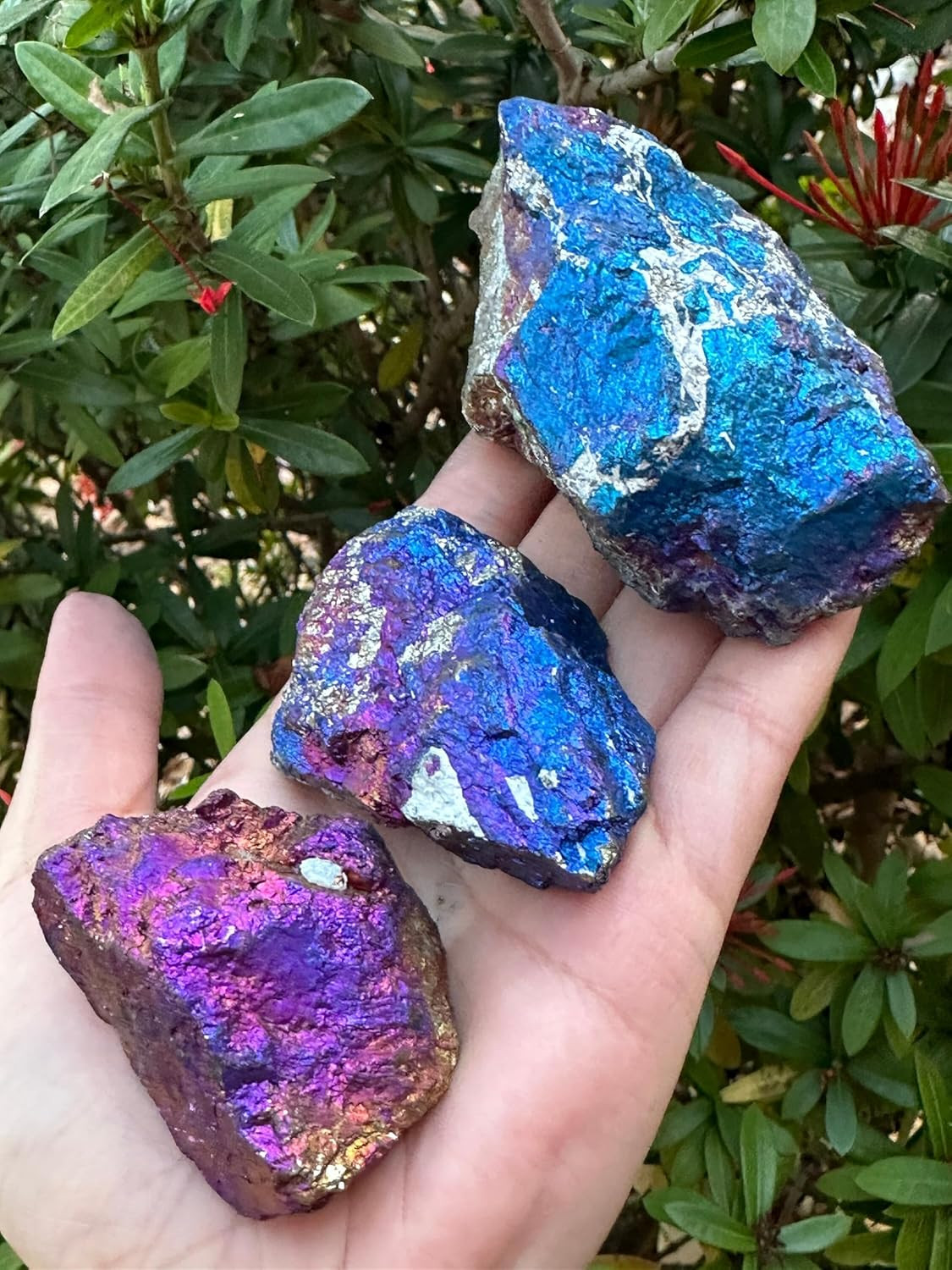 Large Raw Chalcopyrite 2-2.5″, Rough Peacock Ore Stone, Chalcopyrite Peacock Ore