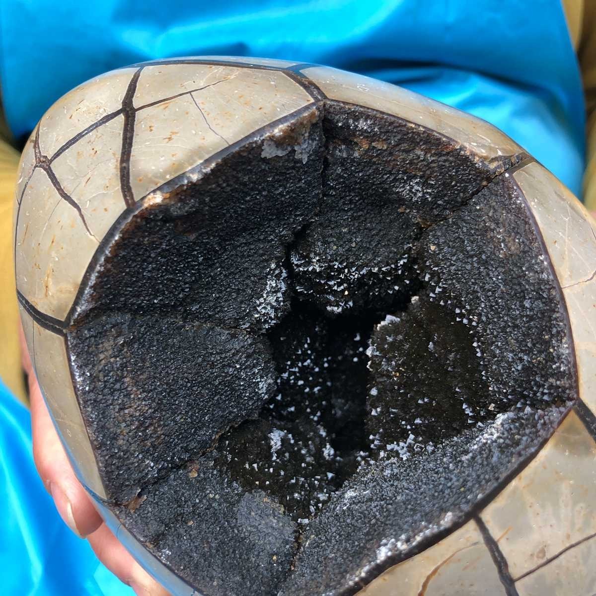 7.23LB Natural Septarian Dragon Egg Geode with Lid Reiki Energy Healing Crystal