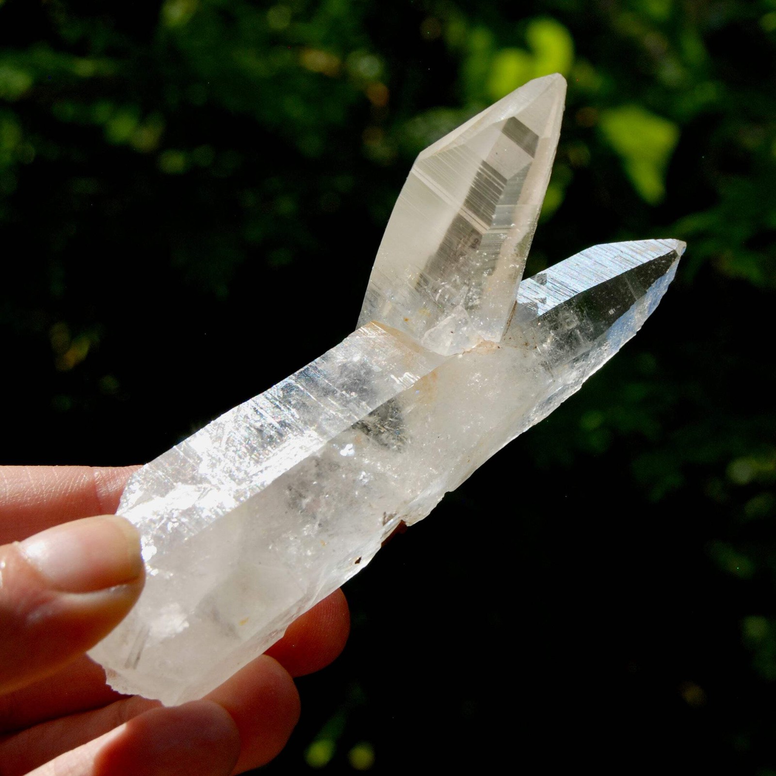 Lemurian Quartz Crystal Starbrary – 4in 106g Tantric Twin Flame Record Keeper, C