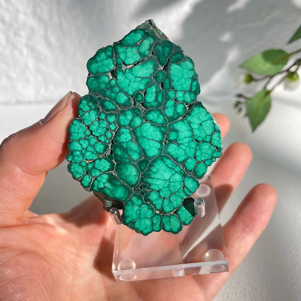 Natural Botryoidal Malachite Slice Crystal Specimen With Acrylic Stand 85g