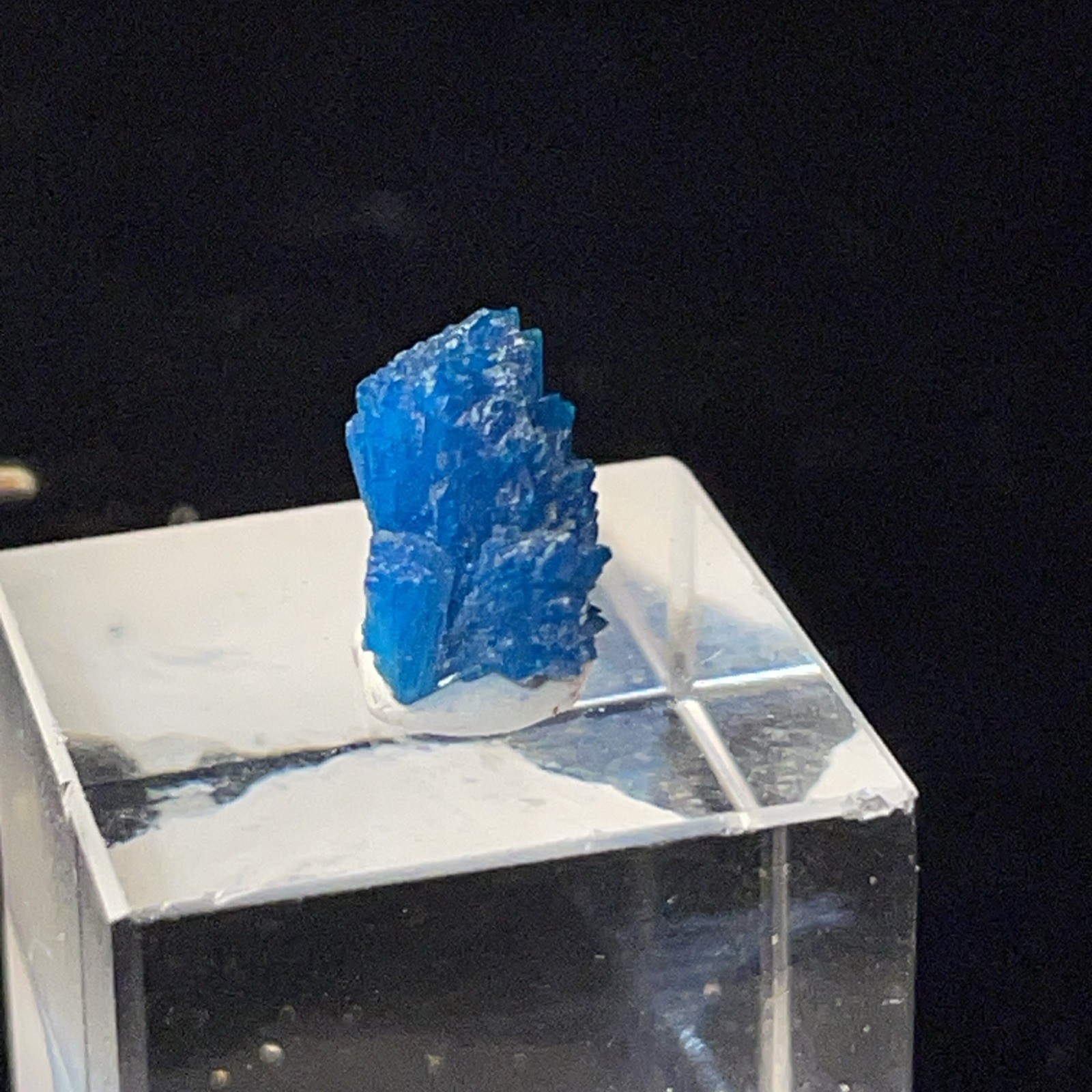 VIVID BLUE MICROMOUNT/THUMBNAIL CAVANSITE CRYSTAL PUNE DISTRICT,INDIA