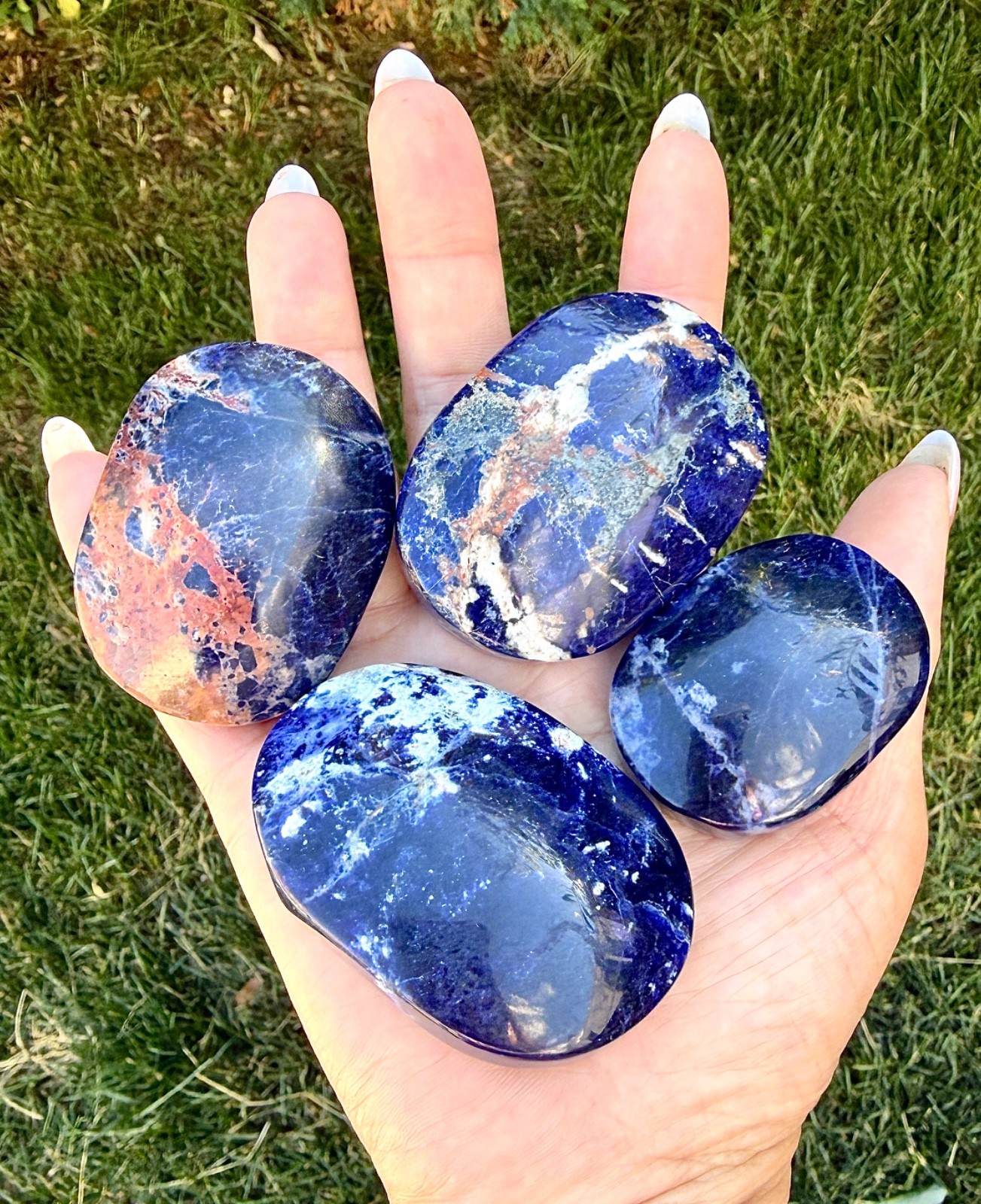 Wholesale Lot 2 Lbs Natural Sodalite Palm Stone Crystal Healing