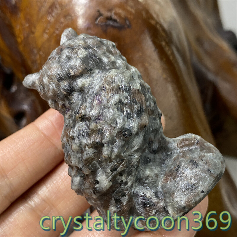2.3″ Natural Yooperlite Quartz Crystal Skull Hand Carving Owl Reiki Healing 1pc