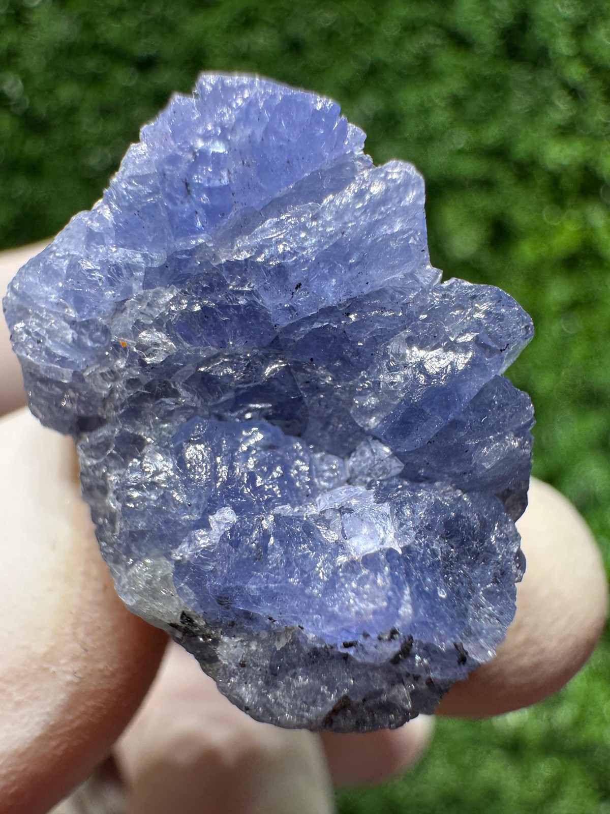 Lovely TANZANITE Crystal with COLOR CHANGE under yellow/white light / N443