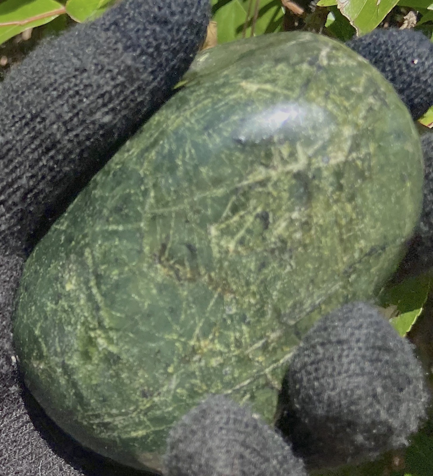 BIG SUR SERPENTINE RICH GREEN BIG POLISHED NUGGET 400 GRAMS -14.1 OZ’s MONTEREY
