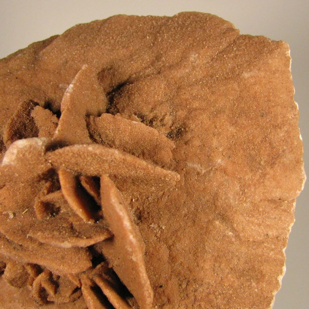 5.8″ Gypsum SELENITE Desert Rose Crystals Cluster – Morocco – 1.2 lbs.