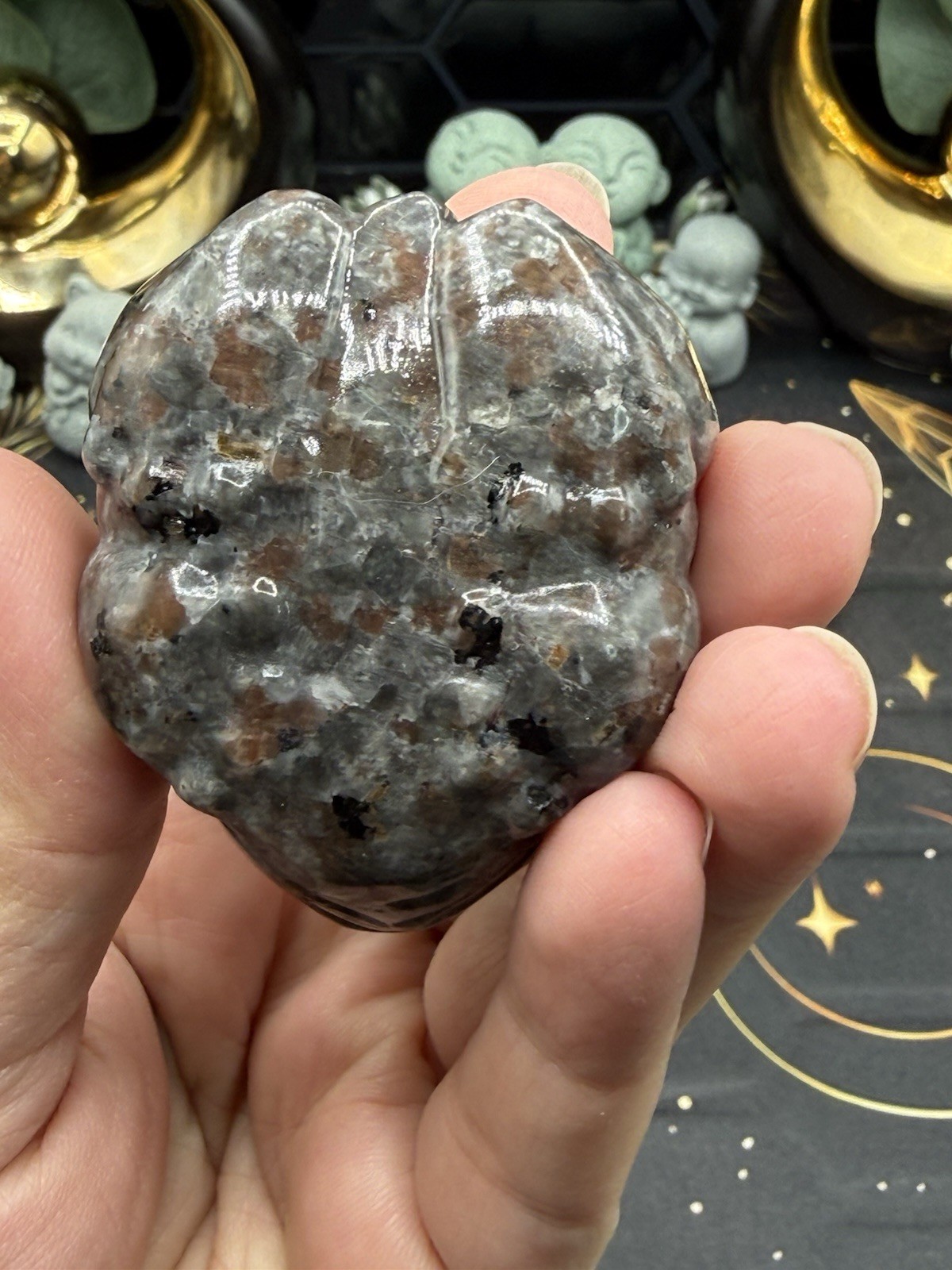 Natural Emberlite Carved Toads Super Cute Free shipping