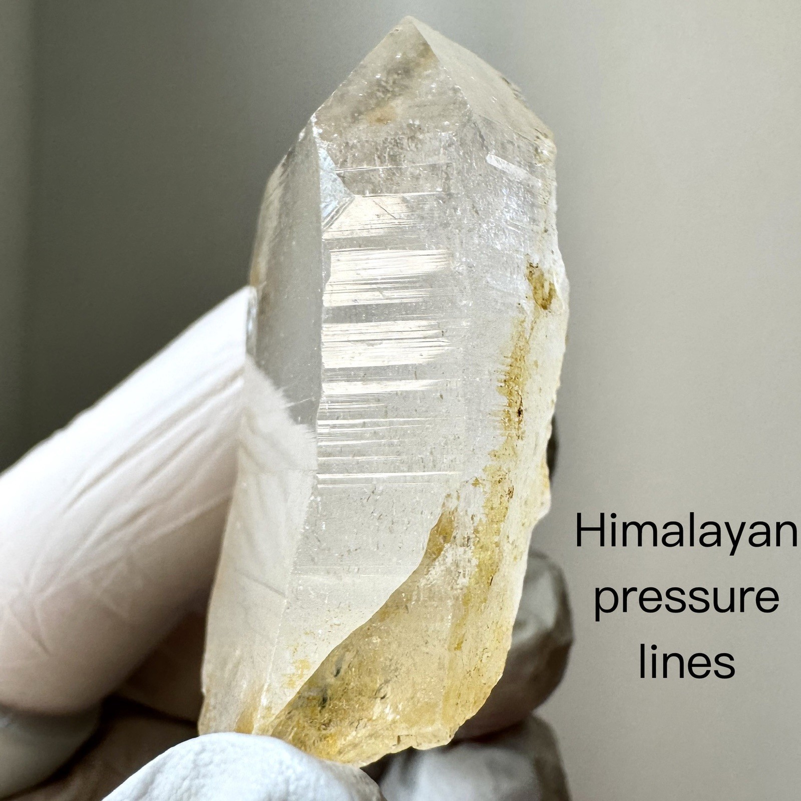 “Golden Archive Tablet” Ganesh Himalayan Flat Top Curved Lemurian Quartz Crystal