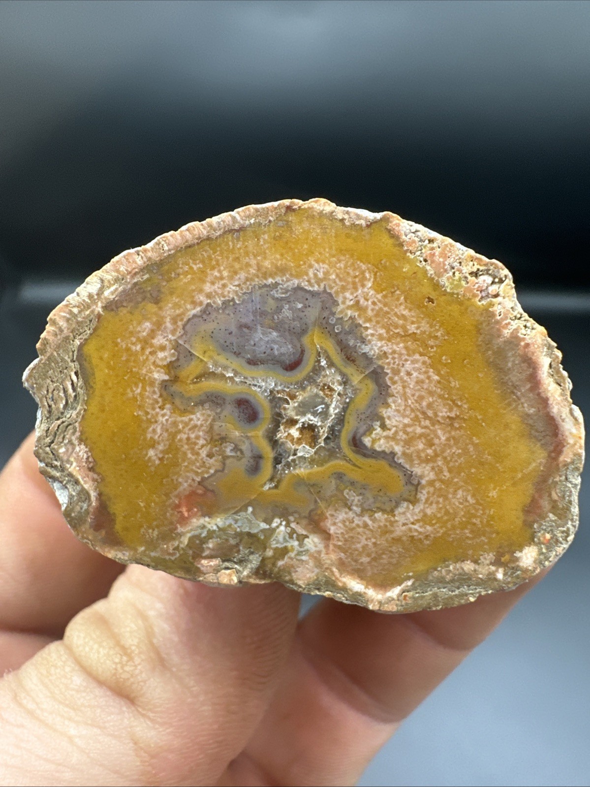 Kentucky Agate Polished Specimen Collector Grade Yellow Moss