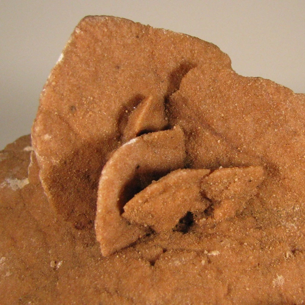 5.8″ Gypsum SELENITE Desert Rose Crystals Cluster – Morocco – 1.2 lbs.
