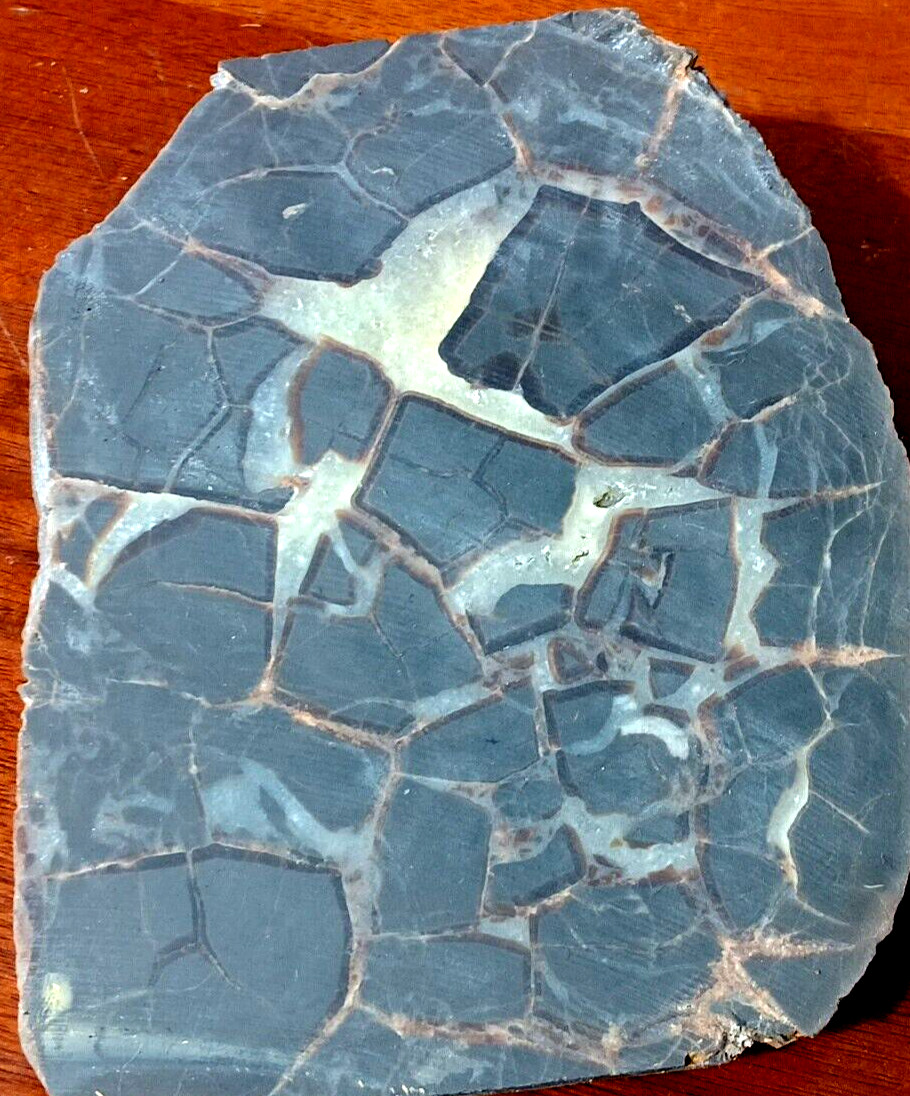 Septarian Nodule UV Reactive End Cut Display Crystal Specimen Glows Purple