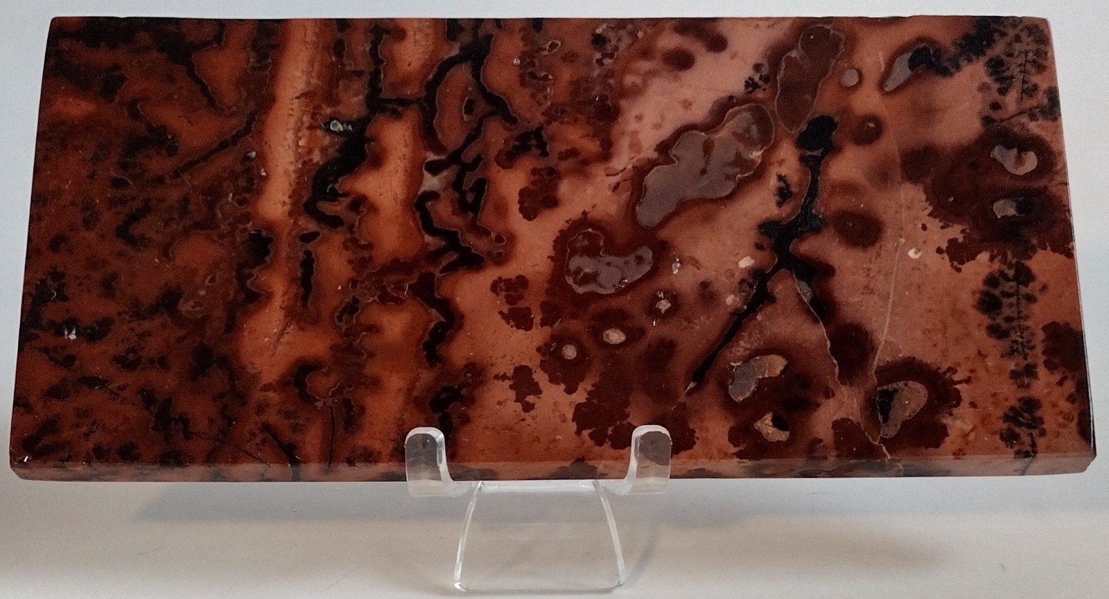 Large Picture Jasper Slab w/ Stand Red Orbicular Scenic Polished Stone Display