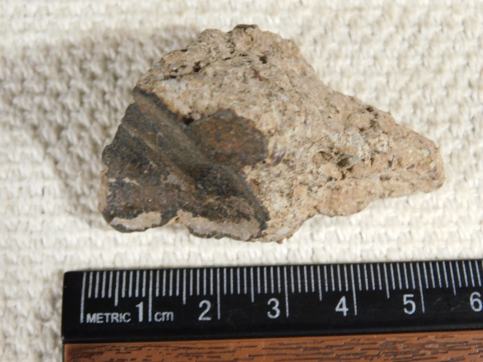Classified NWA 8245 METEORITE Spots of Dark Fusion Crust! Erfoud, Morocco 55.4gr