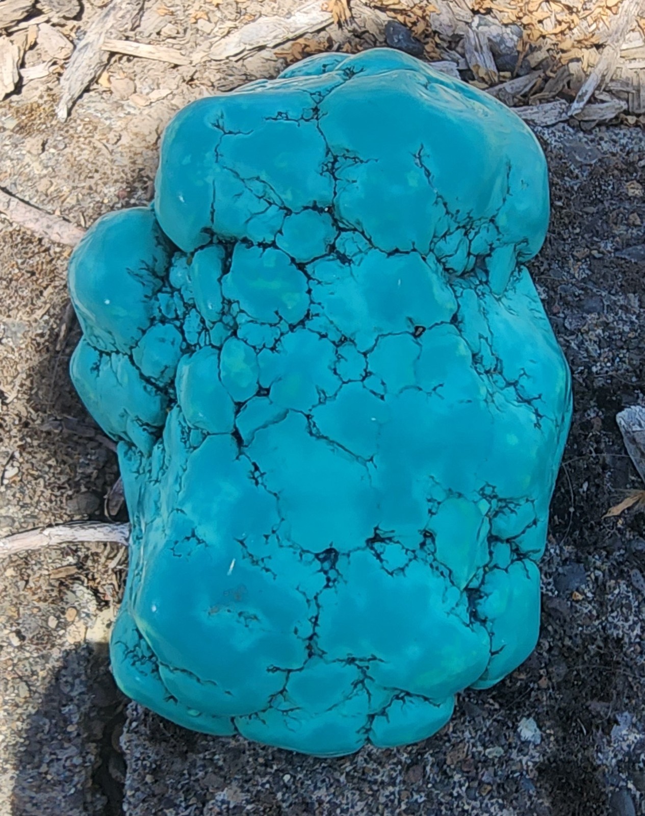 420g Natural Botryoidal Turquoise Rough Gemstone Crystal Mineral Specimen