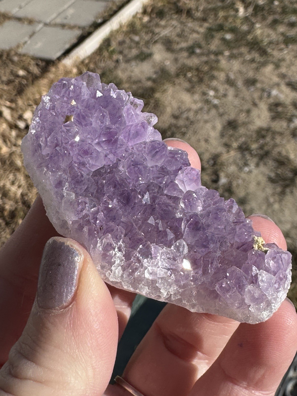 ✨Amazing African Amethyst Cluster