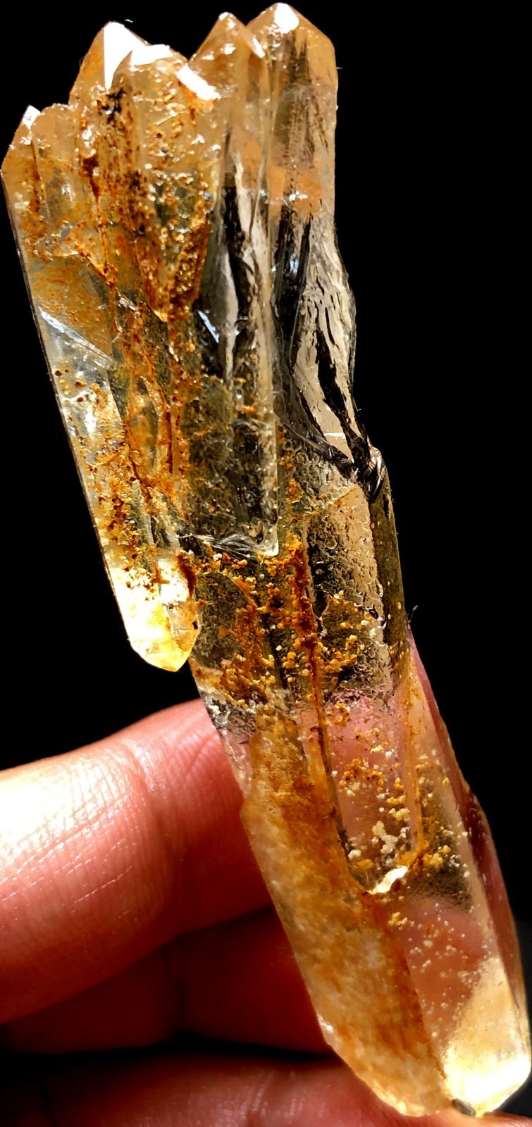46g 1PC Himalayan Natural singing Lemurian Quartz Lemurian Crystal Point t917