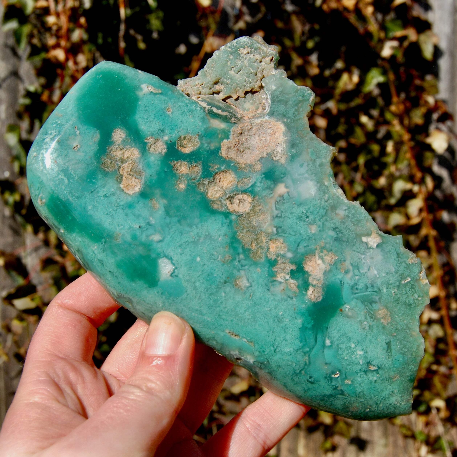 6.75in 436g XL Mtorolite Chrome Chalcedony Crystal Slice, Zimbabwe mtl6