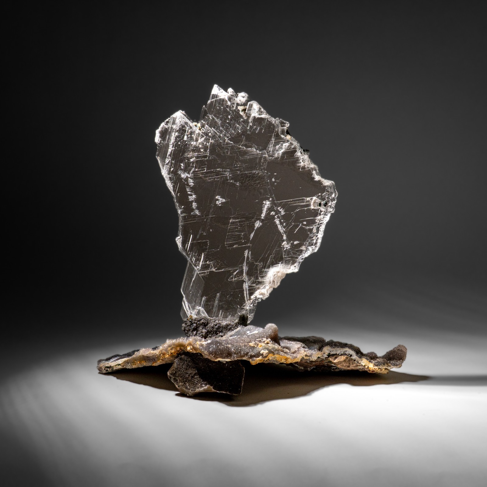 Gypsum Var. Selenite on Matrix from Rio Grande do Sul, Brazil (11.5 lbs)