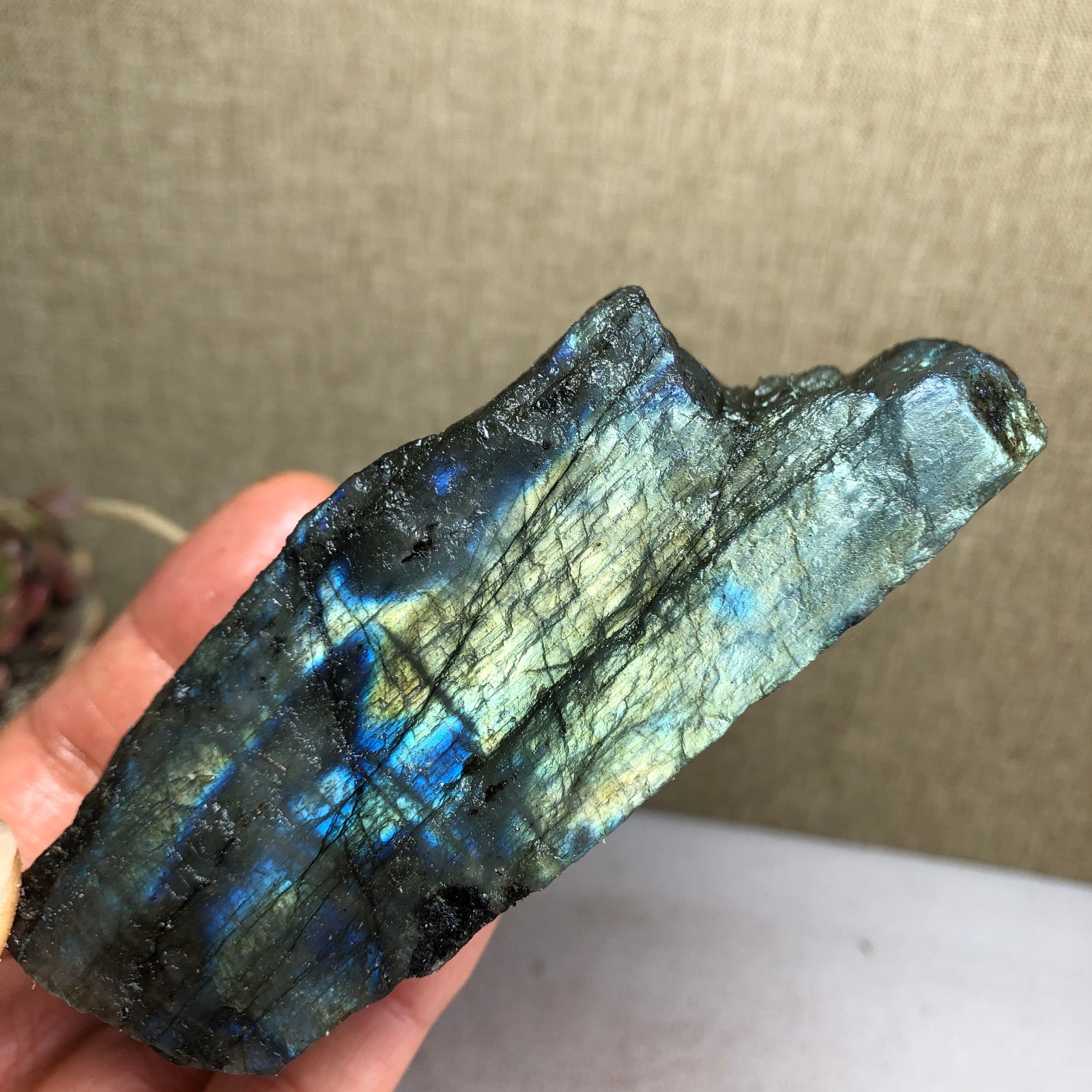92-34-36mm Natural Labradorite Crystal gemstone Rough Mineral Specimen A4418