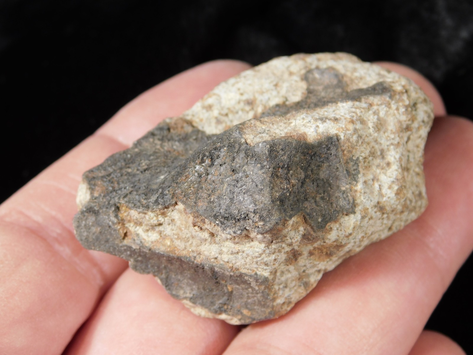 Classified NWA 8245 METEORITE 100% Natural FELL on Erfoud, Morocco 68.1gr