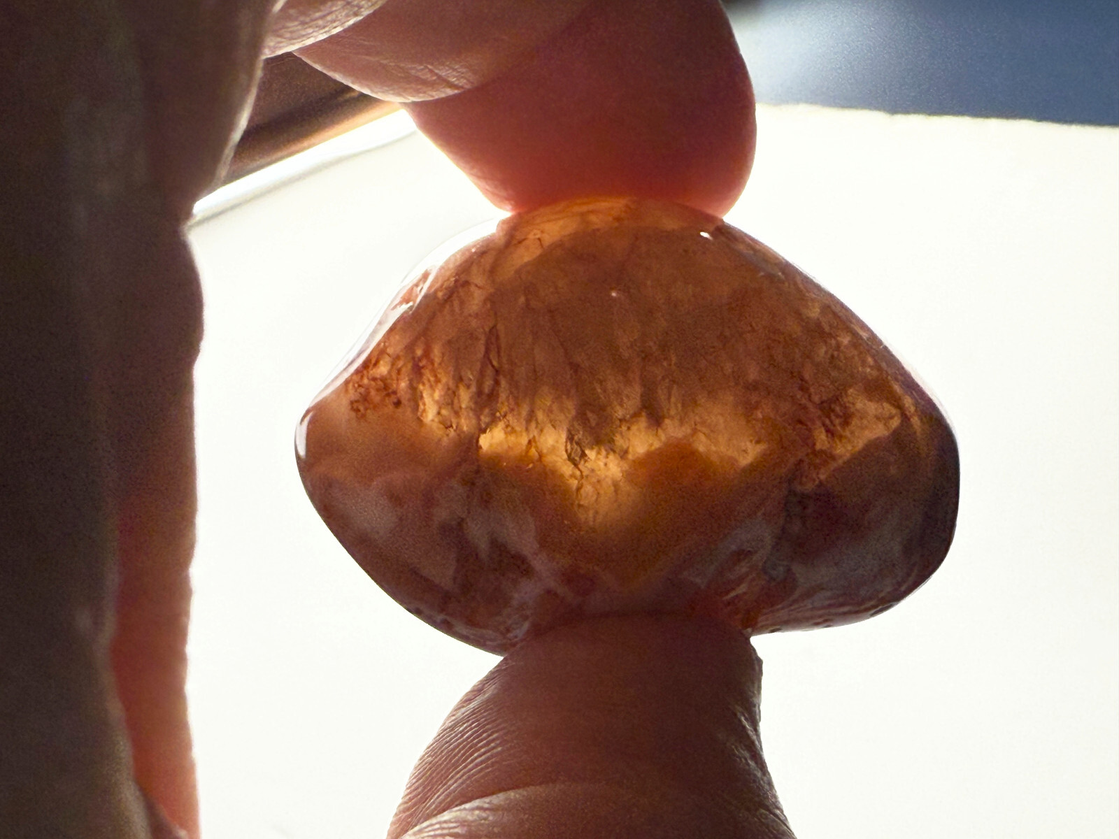 2.0 oz Michigan Minnesota Lake Superior Agate LSA #18 EYES BANDS (polished