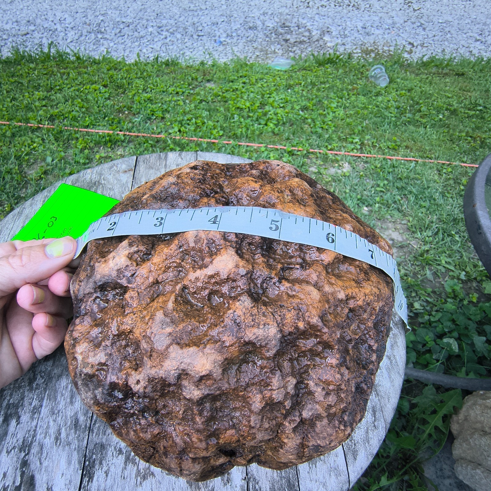 10.07b Kentucky Geode Unopened Natural Crystal Geode + Bonus