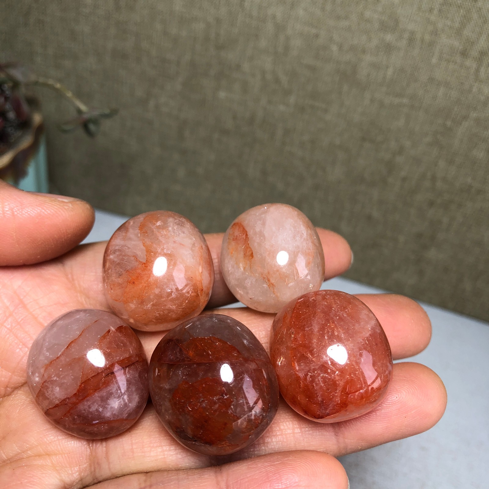 5pcs Natural Red gum flower semi-precious Crystal specimens 90g A3577