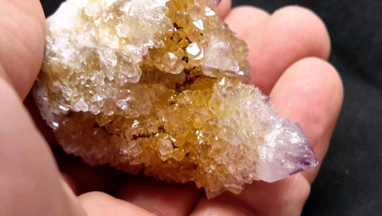 2″ CACTUS QUARTZ AMETHYST AMETRINE from Mpumalanga, South Africa