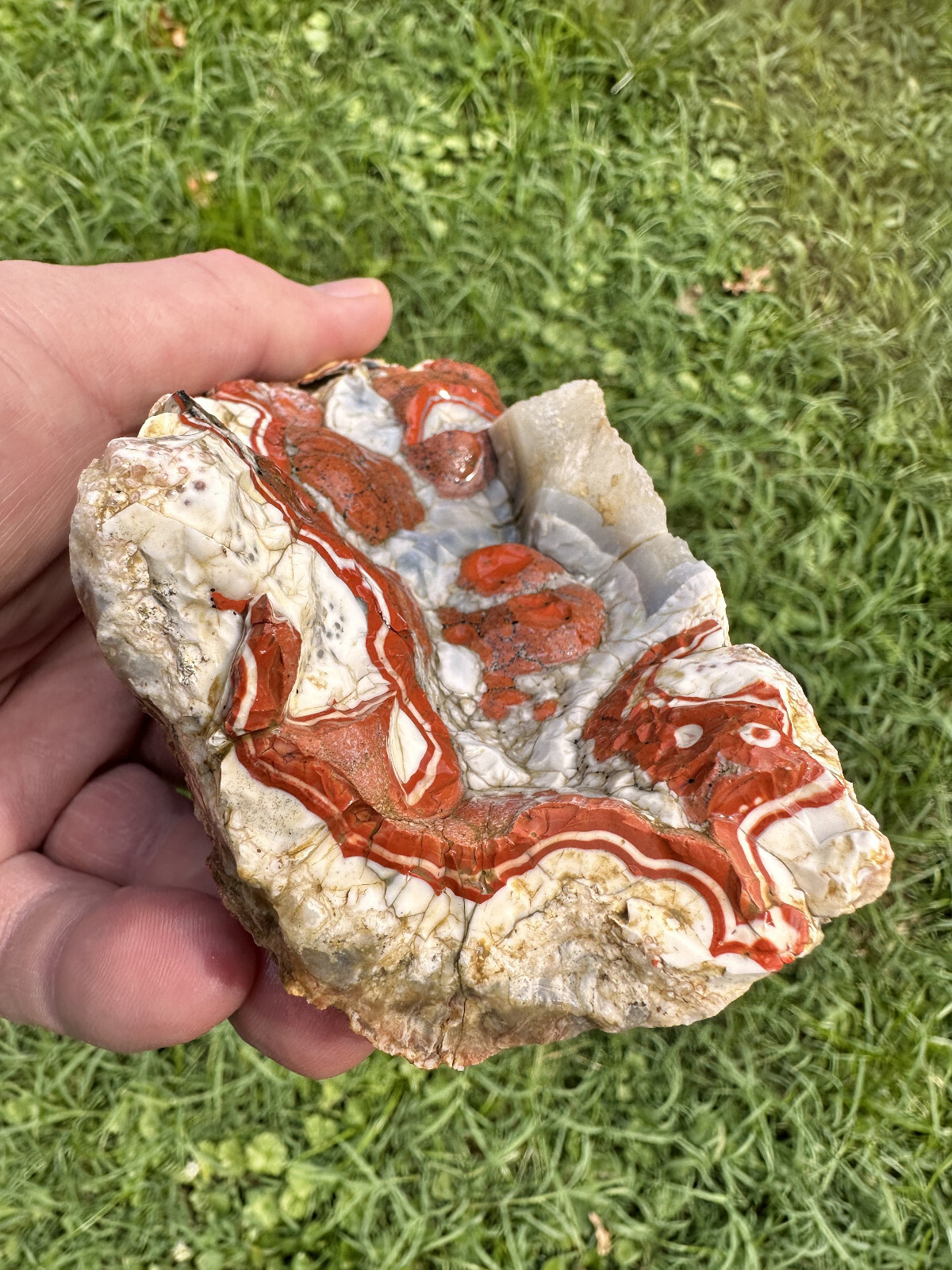Large Natural Rare Kentucky Agate Rough from Estill County