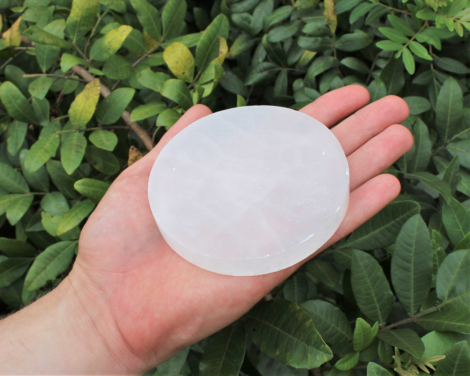 Polished Selenite Circle Charging Station 3″ 4″ or 6″ – Flat Round Crystal Plate