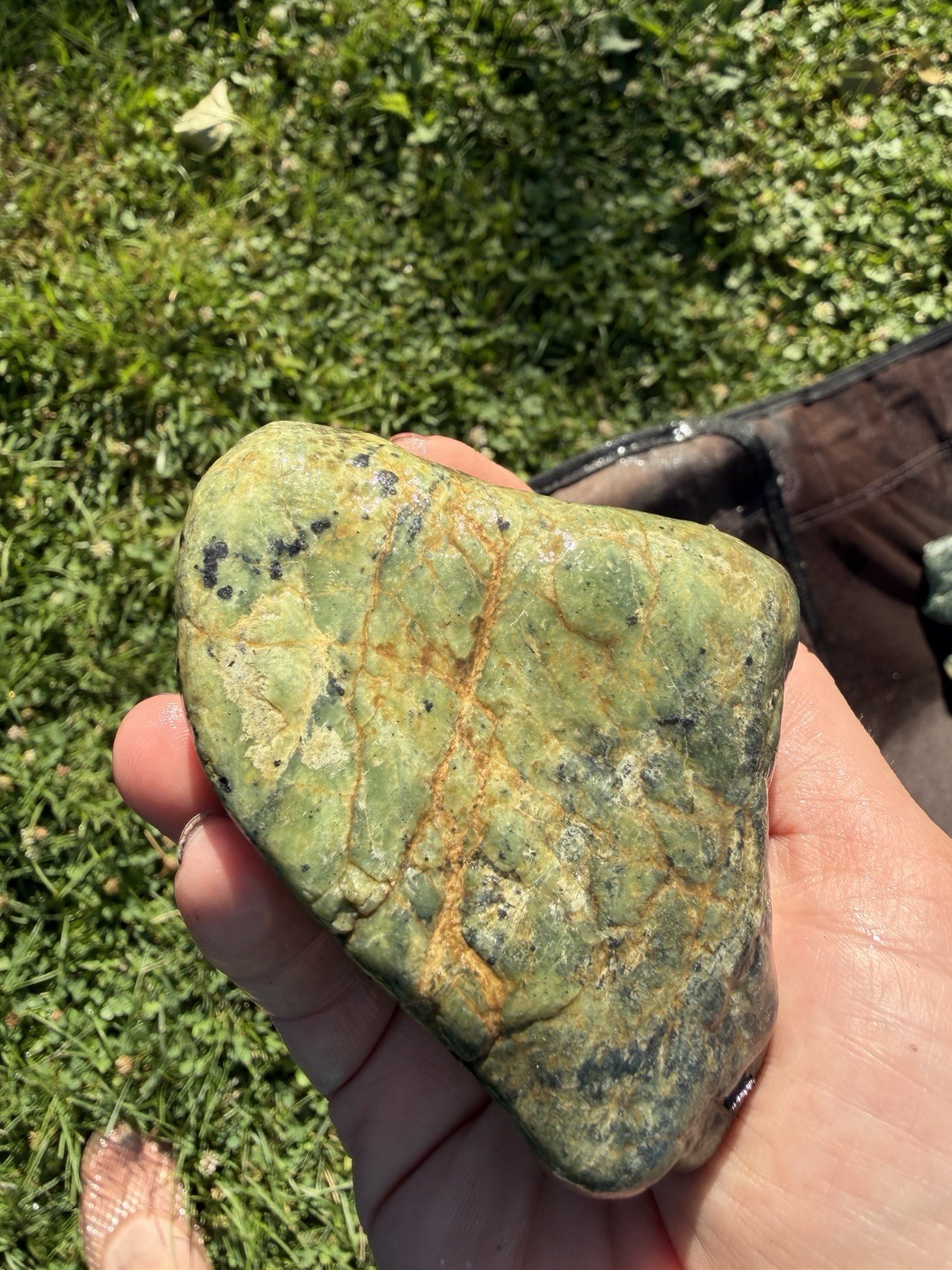Natural Green Stone with Black Inclusions & Iron Veins |13.7 oz Display Specimen