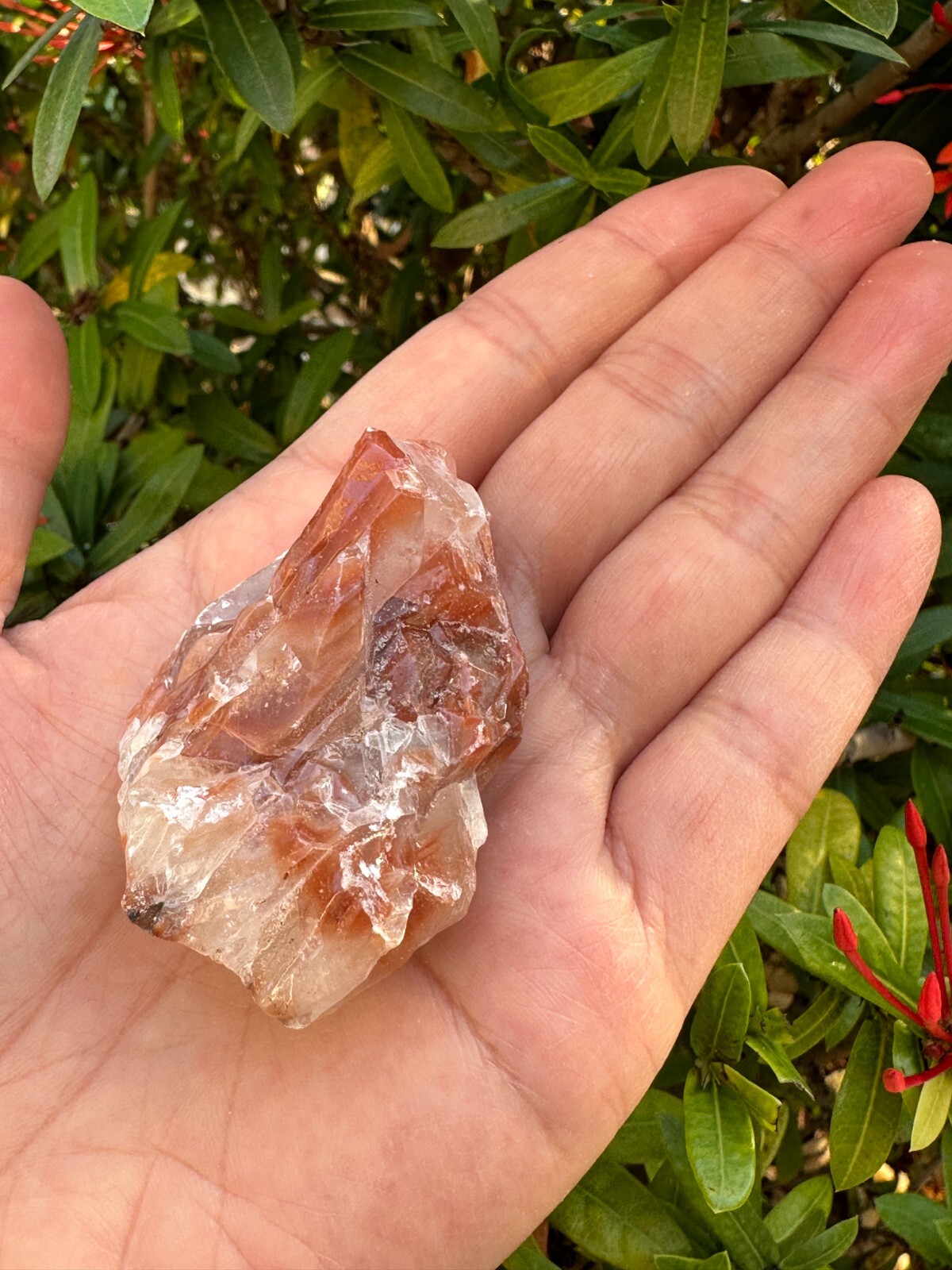 Grade A++ Red/Brown Calcite Rough Natural Stones, 1.5-2.5″ Raw Calcite Red/Brown