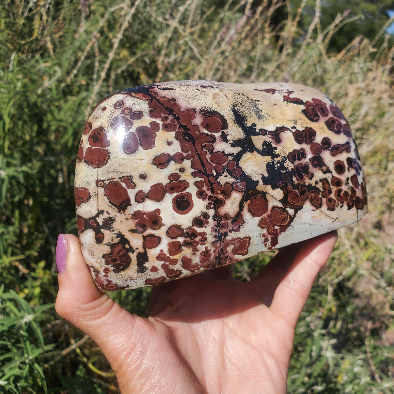 Picture Stone Jasper Dendritic Dendrite Display Freeform | 3lbs 5oz | 1490 Gram