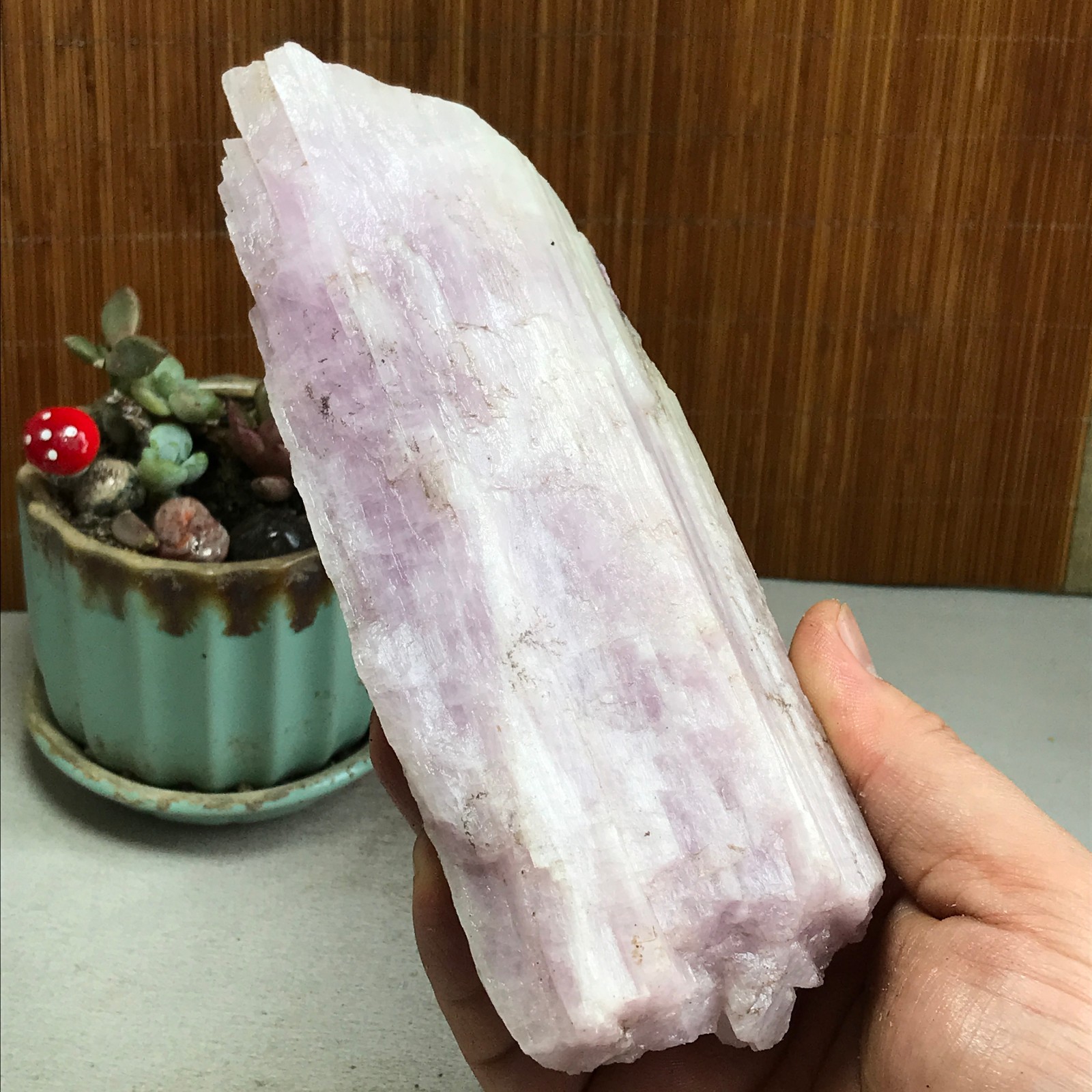 170-78-40mm NATURAL ROUGH KUNZITE PINK SPODUMENE CRYSTALS 830g A4613