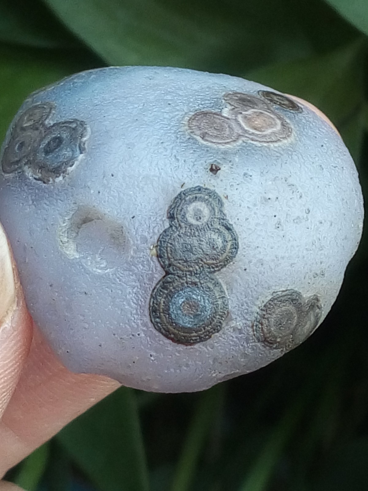 36mm Natural GoBi agate eye agate stone collection