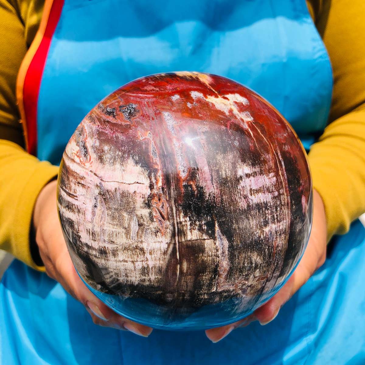 5.06LB Rare Natural Petrified Wood Ball Crystal Quartz Mineral Healing 4705