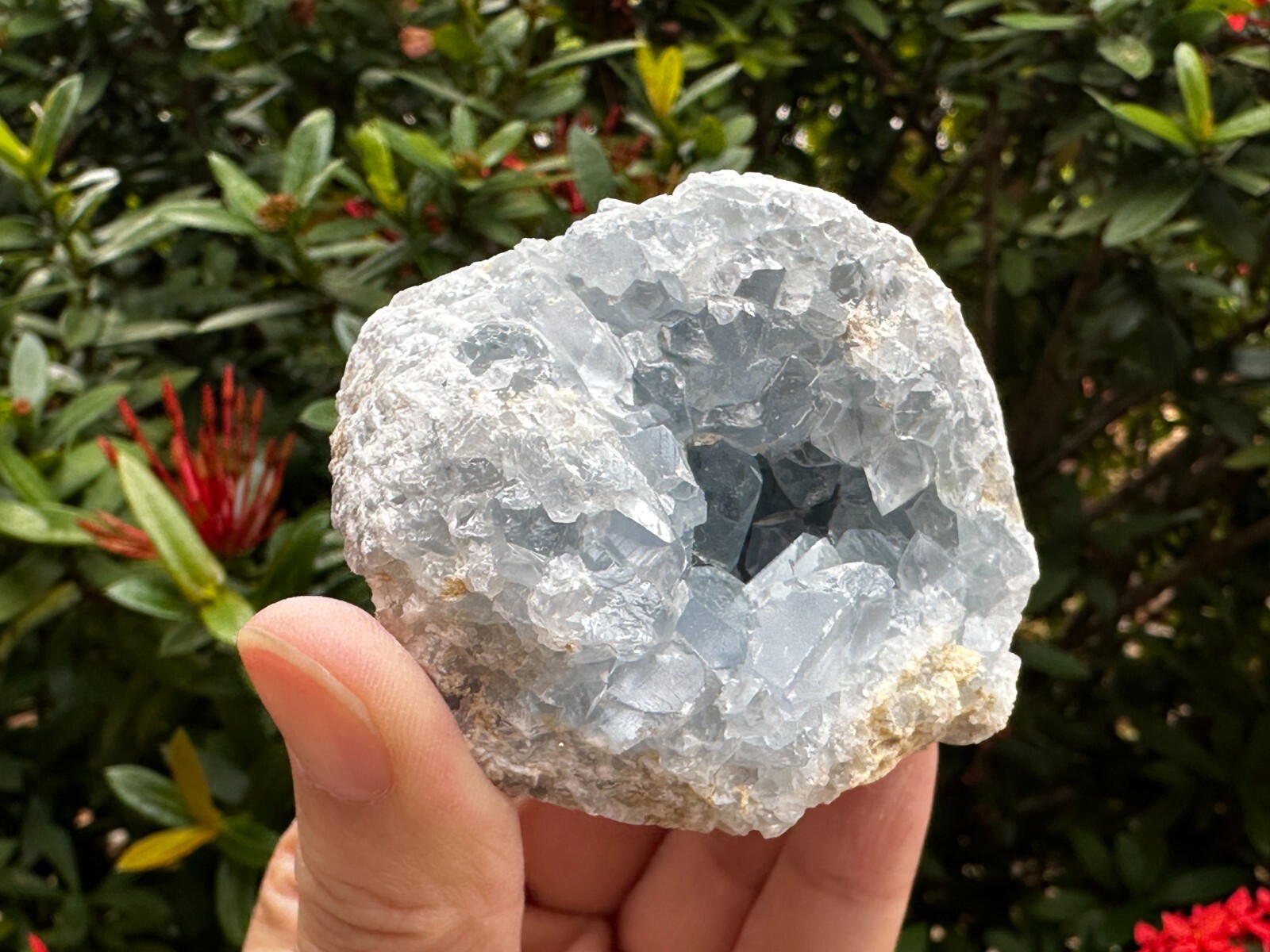 Raw Celestite Cluster, Celestite Geode, Natural Blue Celestite, Pick a Weight