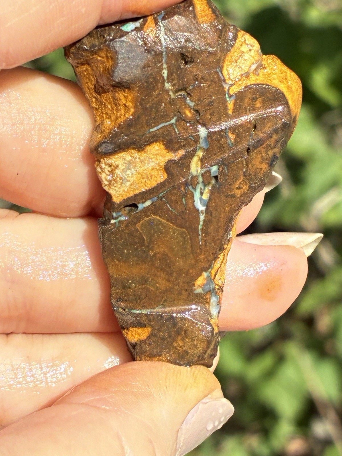 Beautiful 88ct Large Australian Boulder Opal Rough Loose Spider Specimen Green D