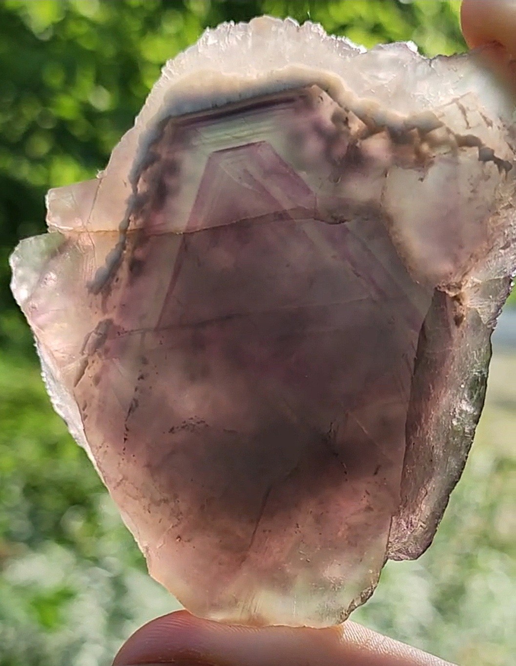 ✨️Terraced tricolor fluorite with chevron zoning Qinglong Mine, China✨️