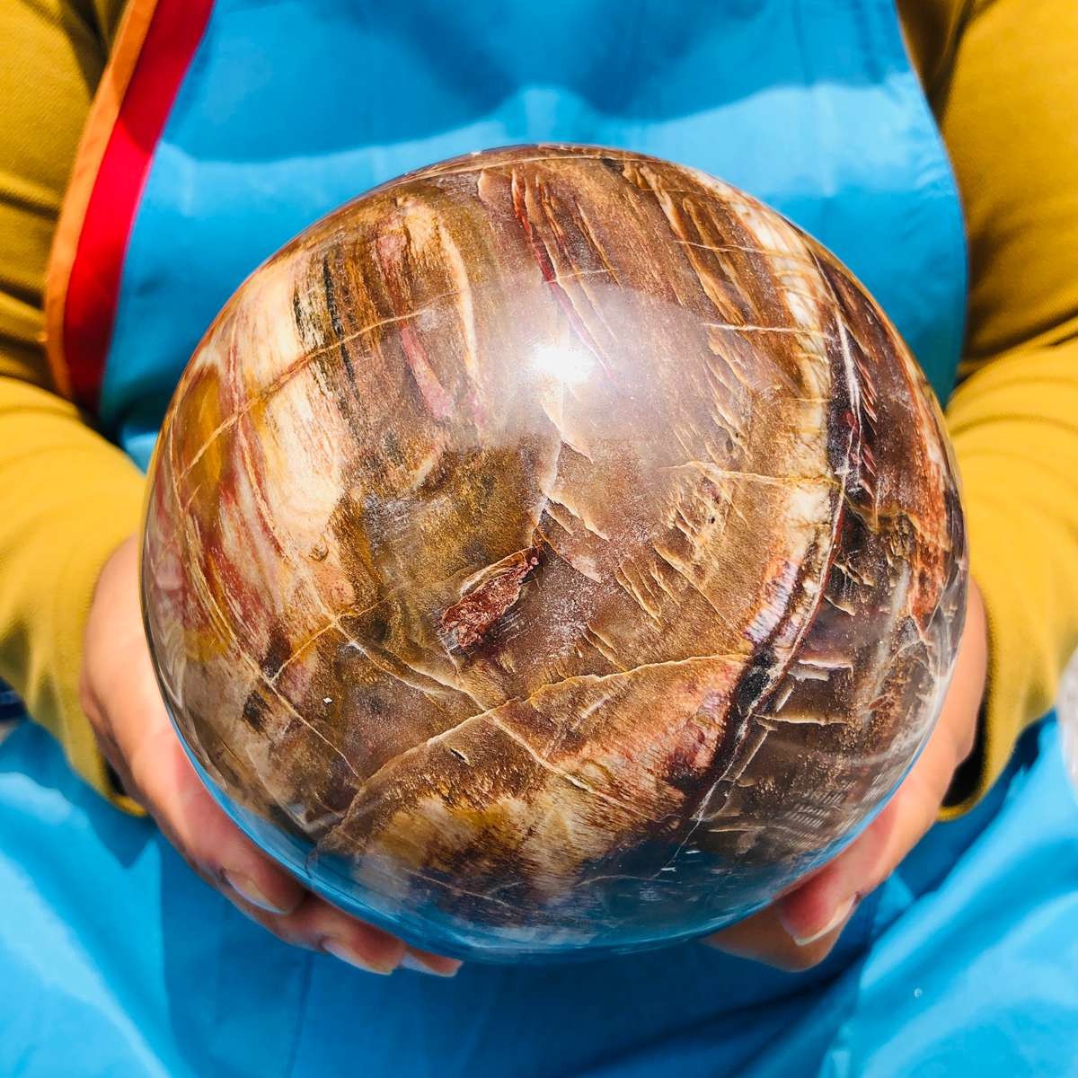 7.72LB Rare Natural Petrified Wood Ball Crystal Quartz Mineral Healing 4709