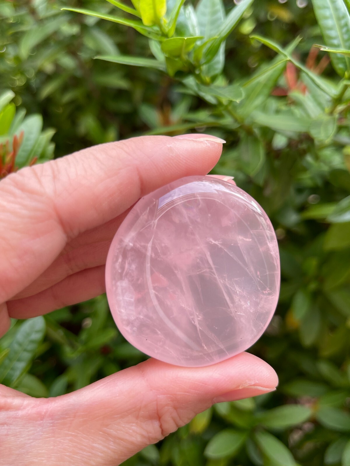Rose Quartz Smooth Stone,1.5″-2″ Polished Rose Quartz Palm Stone, Wholesale Lot